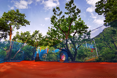 丛林�p�d��